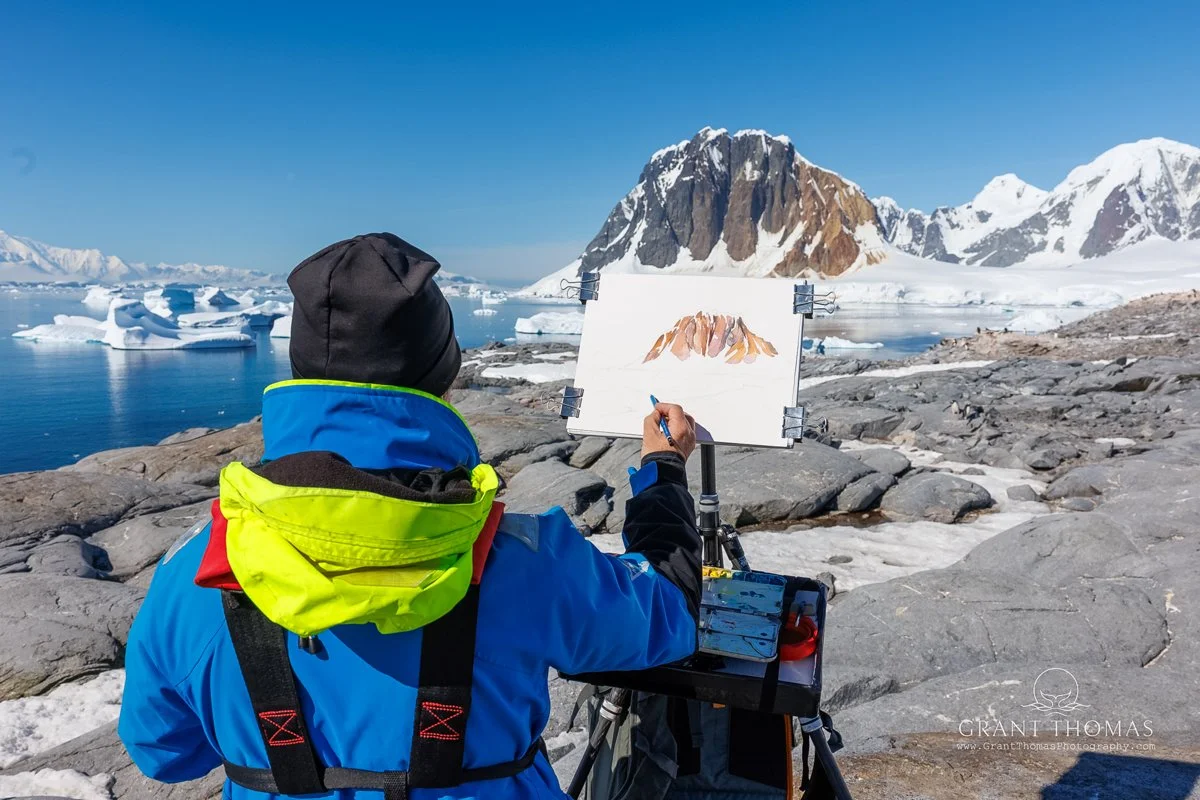 Antarctica and South Georgia Island in Watercolour — DAVID McEOWN
